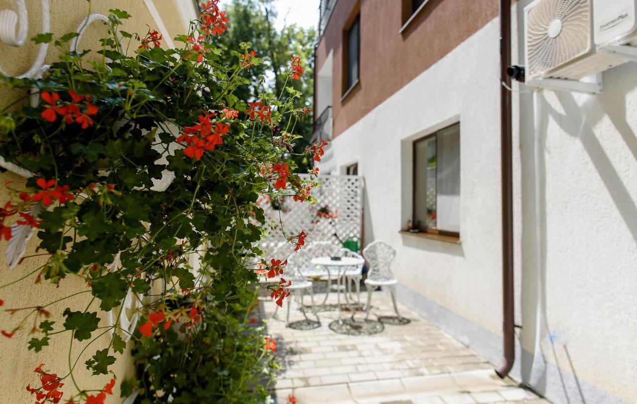 Carla'S Apartment, Airport & Train Station Shuttle Ιάσιο Εξωτερικό φωτογραφία